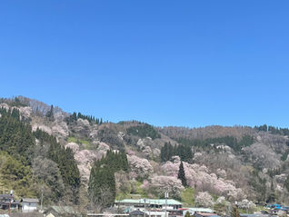 先週末のできごと🪽