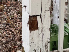 木部補修工事🏡