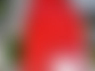 O様邸【ビフォーアフター】