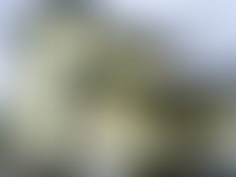 T様邸~足場架け~