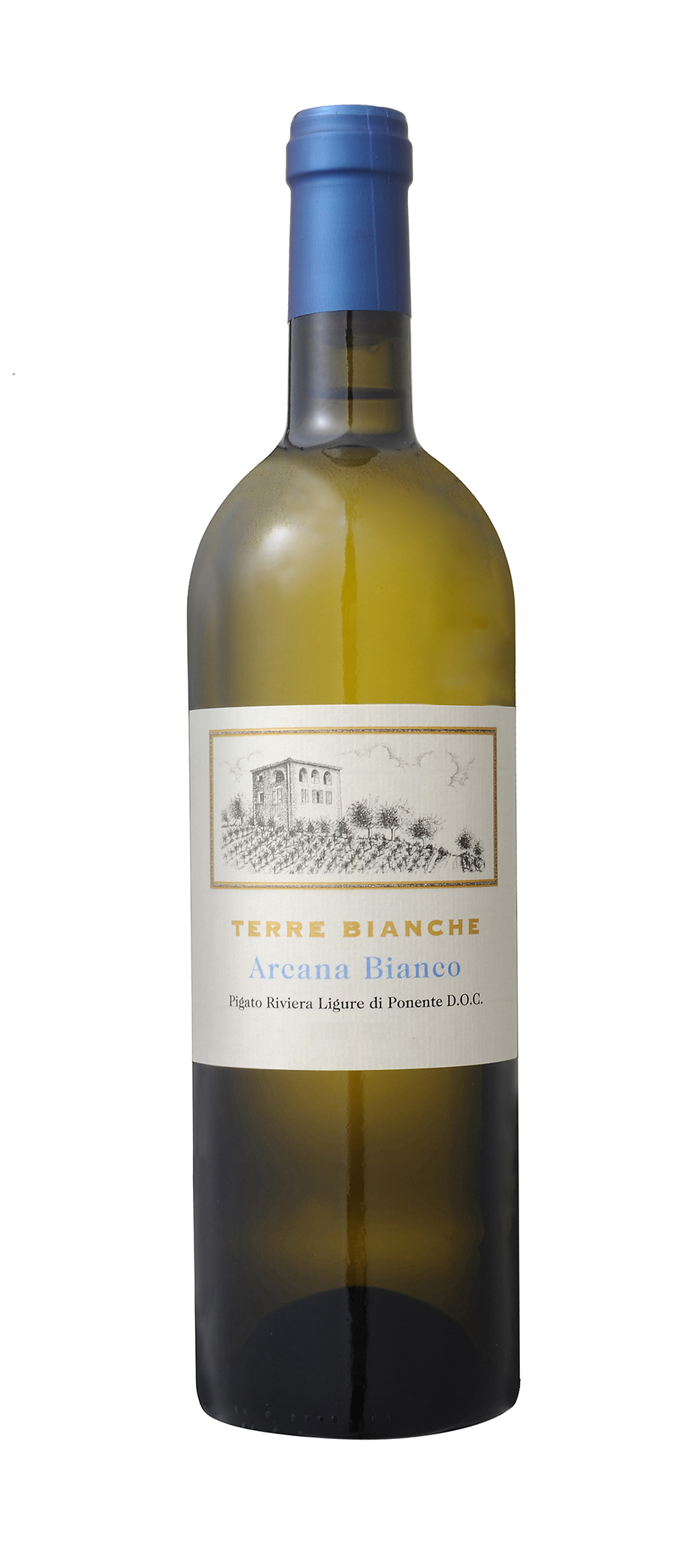 Articolo web: Ernesto Gentili, 2025 - Terre Bianche, Dolceacqua