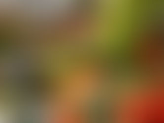 🌿 Blog Post: Cool Day Vegetables Fresh from the Farm, Right to Your Table