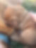 IMG_2688.jpeg