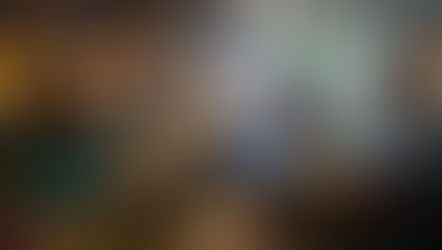 Das Flipperhaus Rocklin