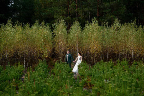 Sesja fotografii ślubnej w plenerze - Fotosceny