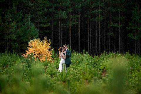 Sesja fotografii ślubnej w plenerze - Fotosceny