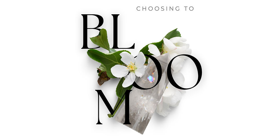 Choosing to bloom