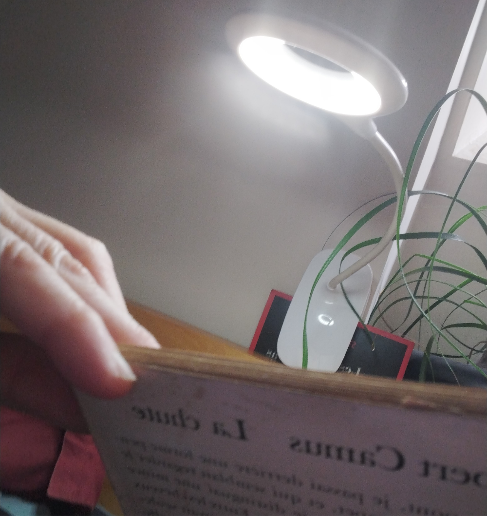 PRATIKO/ Lampe 40 leds, rechargeable, socle-pince