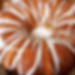 Whole Pound Cakes