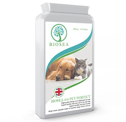 04_Biosea_Omega 369 For Cats & Dogs.jpg