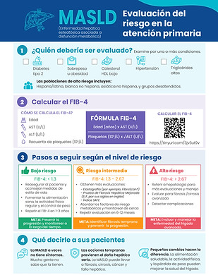 This Spanish infographic details the primary care assessment for Metabolic Dysfunction-Associated Steatotic Liver Disease (MASLD), covering who should be screened, how to calculate the FIB-4 risk score, and the recommended follow-up steps based on risk stratification. It also provides concise messages for educating patients about MASLD and lifestyle modifications.
