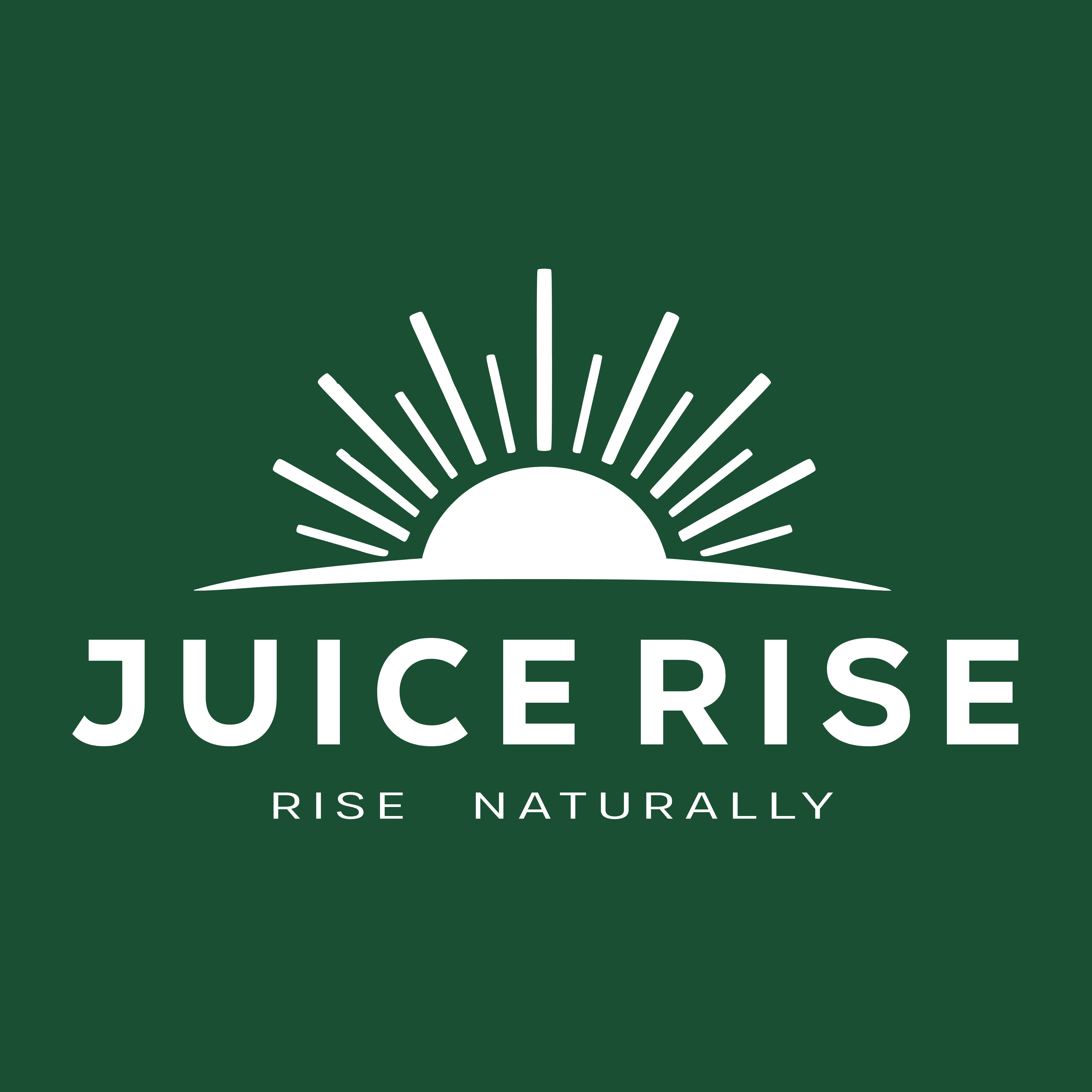 JUICE RISE (1).png