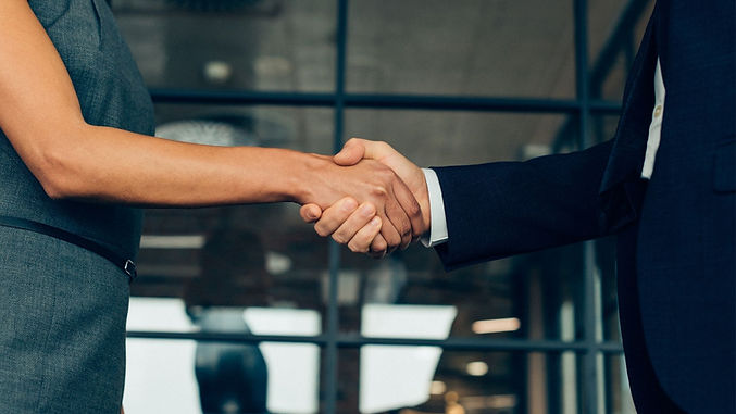 Professionals shaking hands