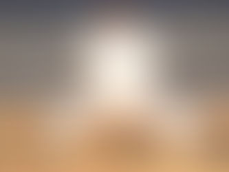 A year of intense training and milestones!