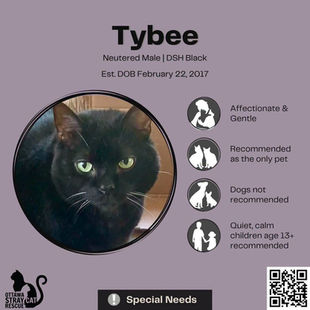 Tybee