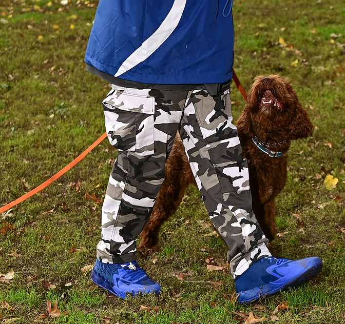 UniqueK9 Dog Training in NYC