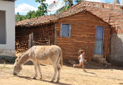 Infância
