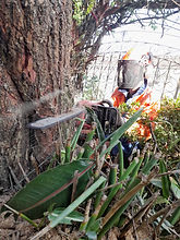 WhatsApp Image 2024-05-18 at 19.38.47.jpeg