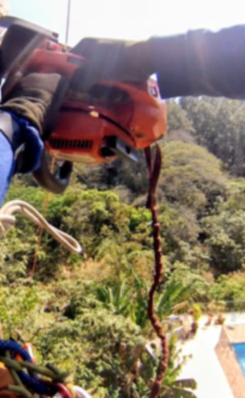 Fabio henrique ha 20 metros de altura fazendo a remoção de um galho em sistema de rinngie controlado por freio em um espaço confinado