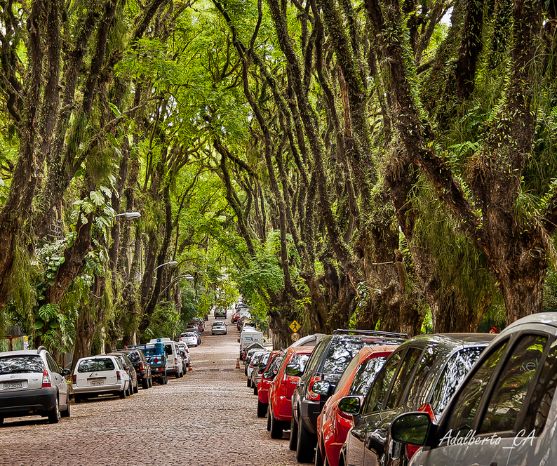 Vista aérea de área urbana com árvores bem distribuídas