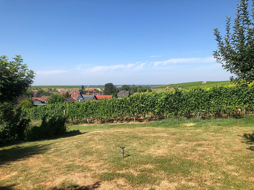 Aussicht
