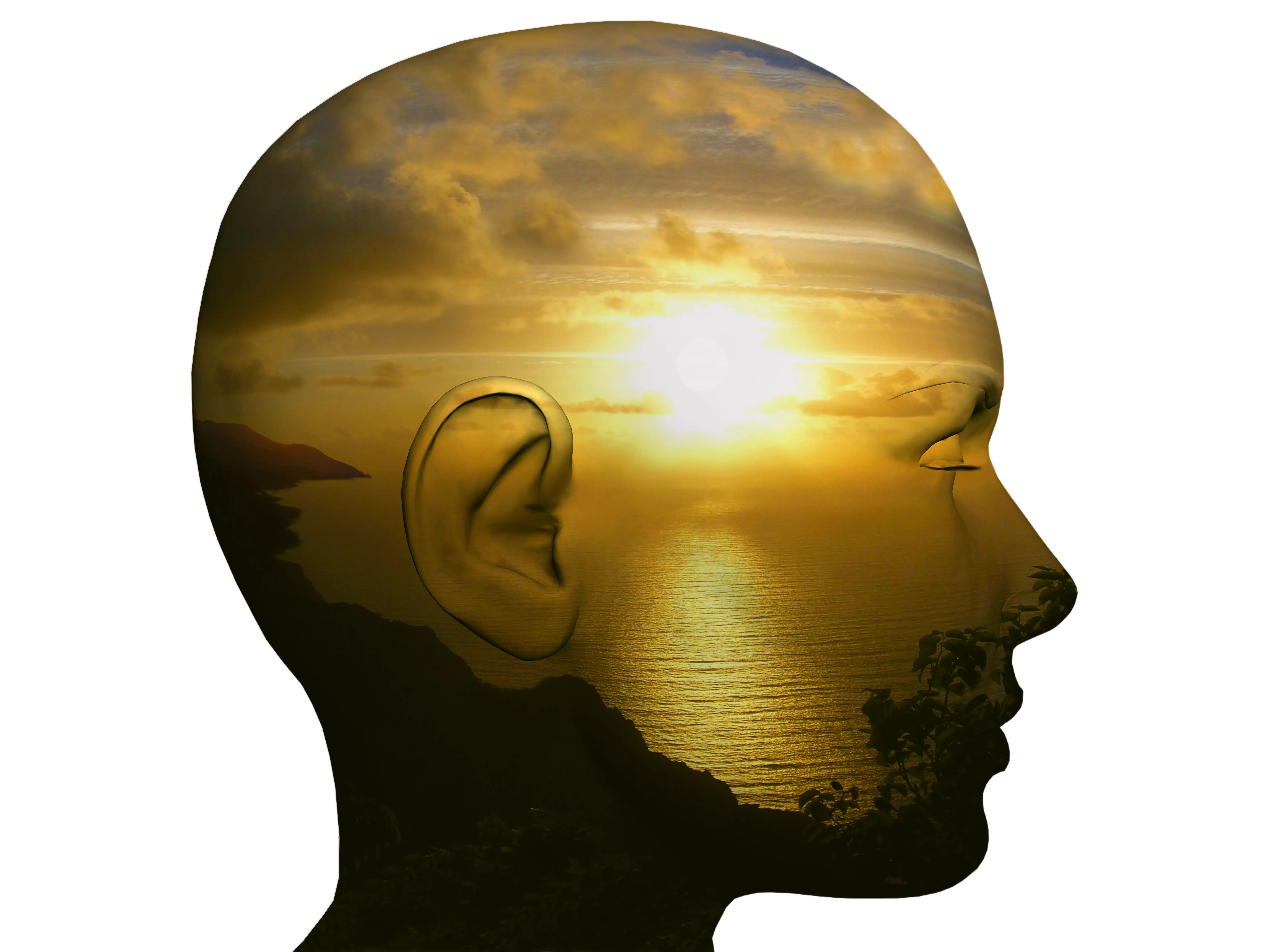 shutterstock_121568215-2.webp