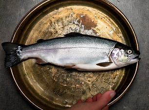 Firefly Trucha entera y cruda, de segunda categoría (tipo B), proveniente de río. De tamañ