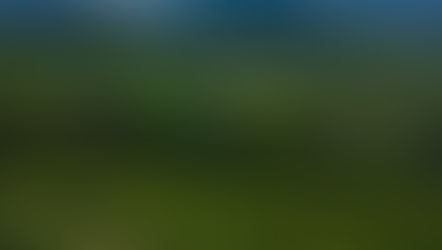 Nouvelles de Mai 🌈🌈