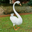 Thumbnail: Large White Swan ornament with orange webbed feet