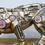 Thumbnail: golden mechanical style lion ornament with nuts chains and bolts over his body