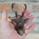 Thumbnail: Moose and Stag Animal Hanging Baubles