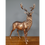 Thumbnail: Antiqued Bronze Stag -H: 55cm