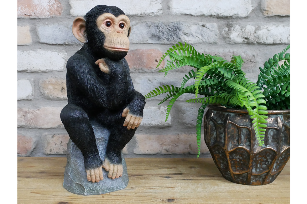 Monkey sat on a rock ornament