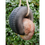 Thumbnail: the squirrels back and tail hangs from the other side of the hanging squirrel ornament