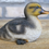 Thumbnail: Set of 3 Adorable Duckling Figurines