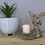 Thumbnail: Sitting Fairy Themed Candle Holder