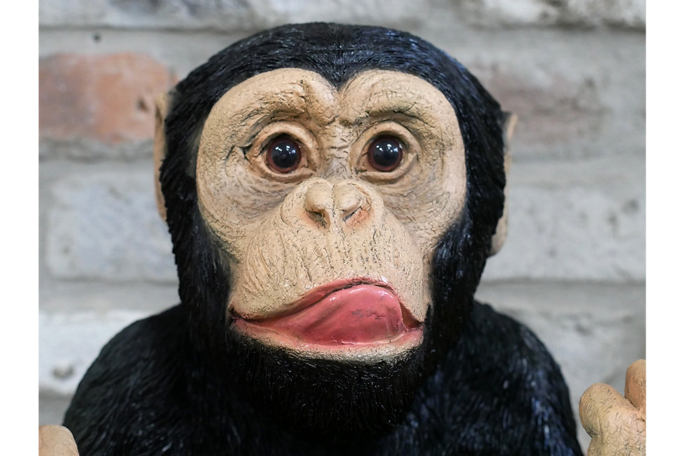Thumbnail: Up Yours Monkey Bust Ornament / Headset Holder