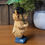 Thumbnail: Rainy Day Blue Highland Cow Ornament
