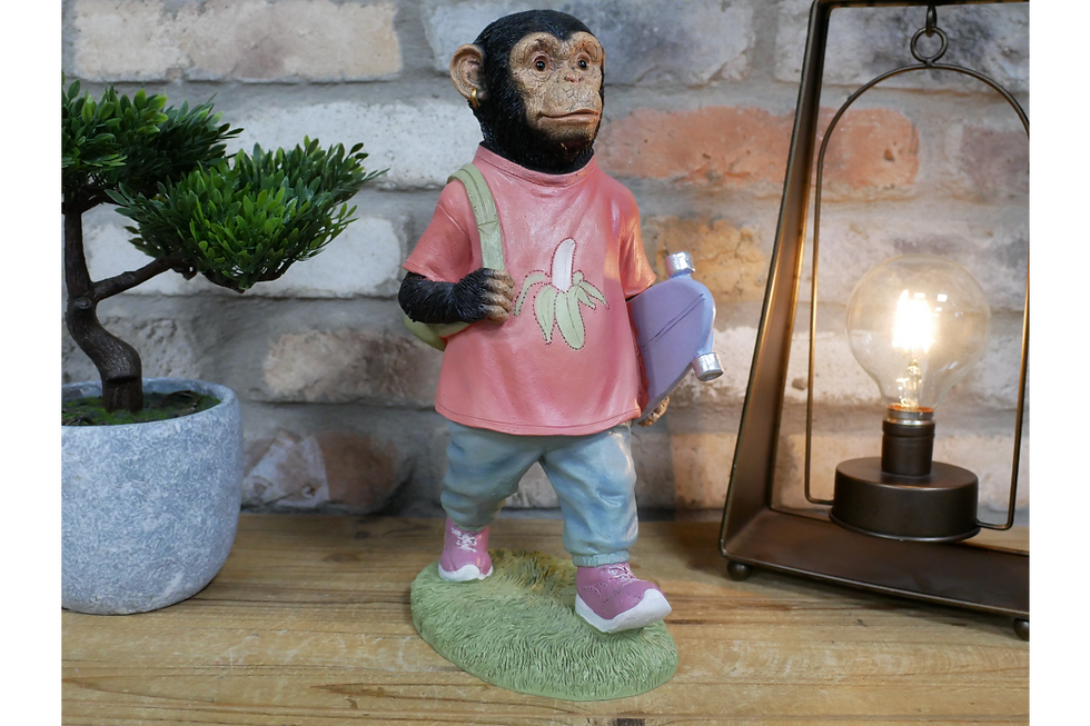 Thumbnail: Monkey dressed in female clothing