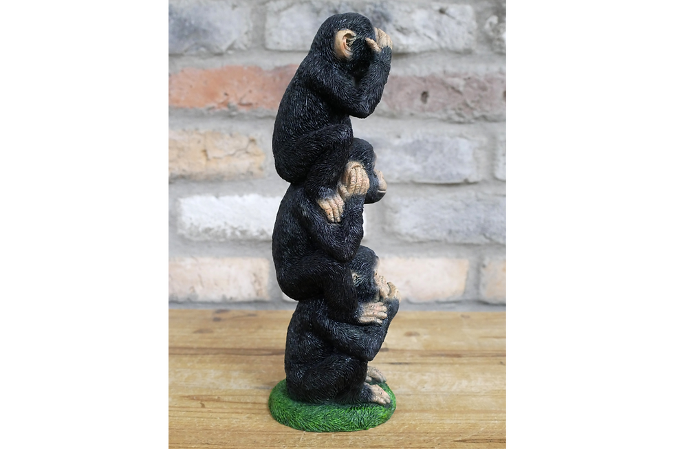 side view of three wise monkeys