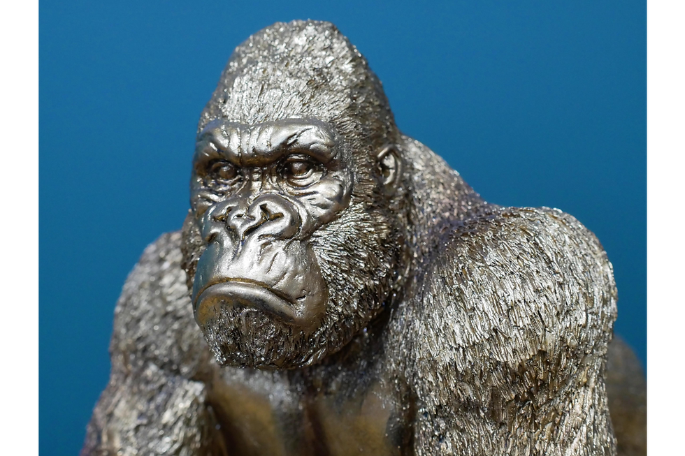 Thumbnail: The Boss 'Gorilla'