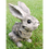 Thumbnail: Little Bunny Rabbit