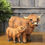 Thumbnail: Standing Highland Cow Mother and Calf Ornament