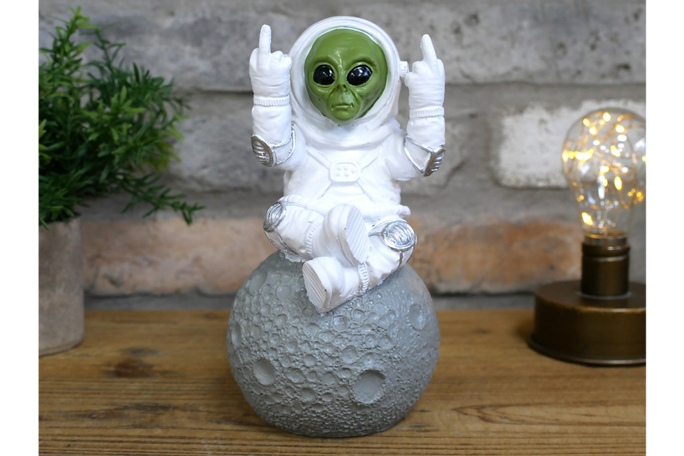 Green alien sat on a rock with a white astronaut suit on and sticking his middle finger up on both hands
