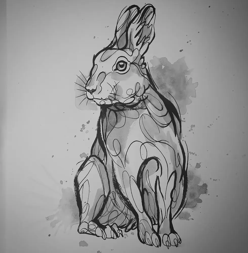 Black ink sketch of a sitting hare on white paper, with gray watercolor splashes and loose line details.