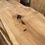 Thumbnail: Hard Maple SKU-7C5615