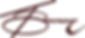 THEBrown_Logo_DarkBrown.png