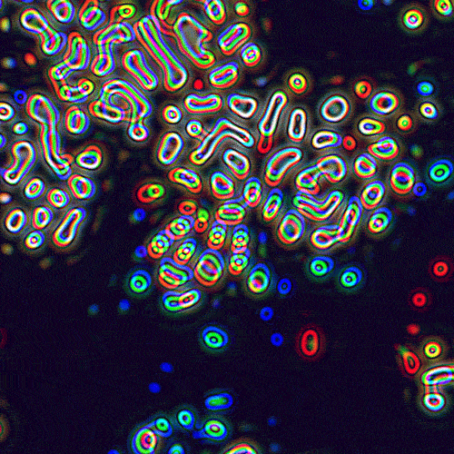 B6AD7A3B-3470-4754-A383-99AFDC1F6632.gif