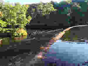 Calver Weir