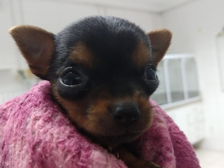 #PacientesEstima: Mel